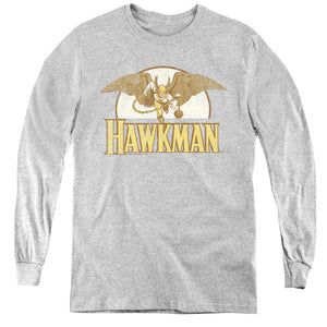 AN OFFCIALLY LICENSED DC FLY BY YOUTH LONG SLEEVE T-SHIRT ATHLETIC HEATHER