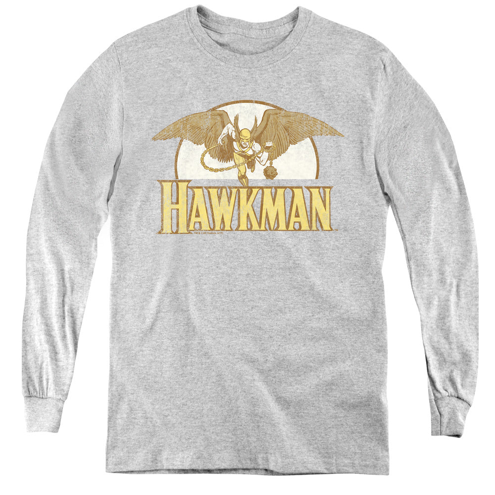 AN OFFCIALLY LICENSED DC FLY BY YOUTH LONG SLEEVE T-SHIRT ATHLETIC HEATHER