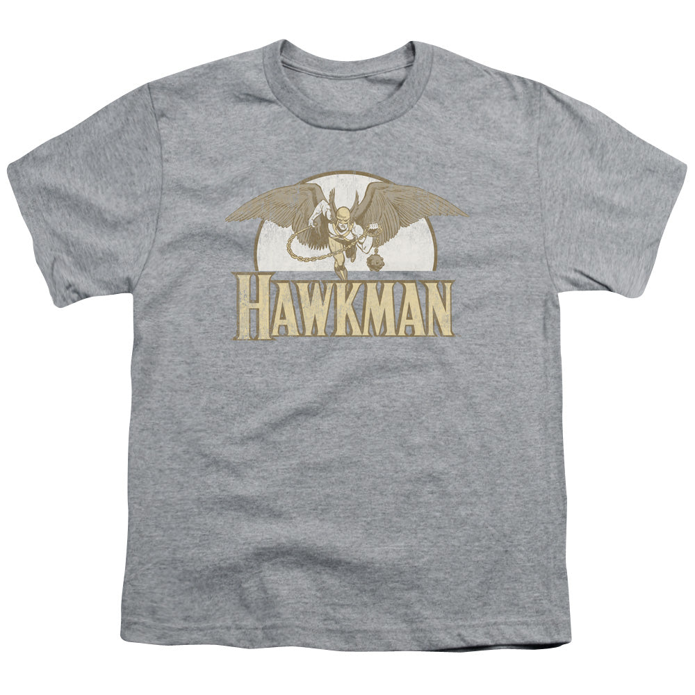 DC Fly By Licensed Kid's T-Shirt (Ages 4-7) SM-XL