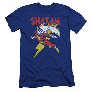 AN OFFCIALLY LICENSED DC LETS FLY MEN'S PREMIUM SLIM FIT T-SHIRT ROYAL