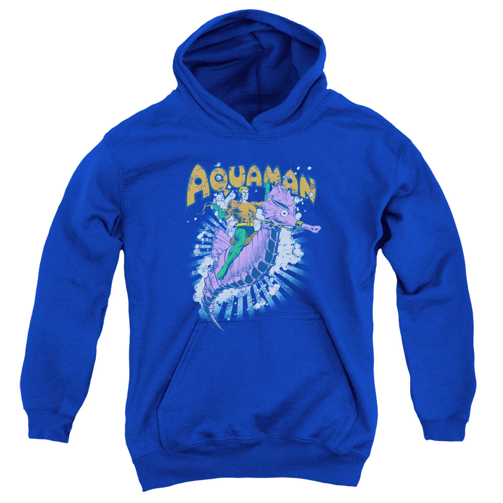 AN OFFCIALLY LICENSED DC RIDE FREE YOUTH HOODIE ROYAL