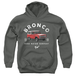 AN OFFCIALLY LICENSED FORD BRONCO BRONCO ILLUSTRATED YOUTH HOODIE CHARCOAL