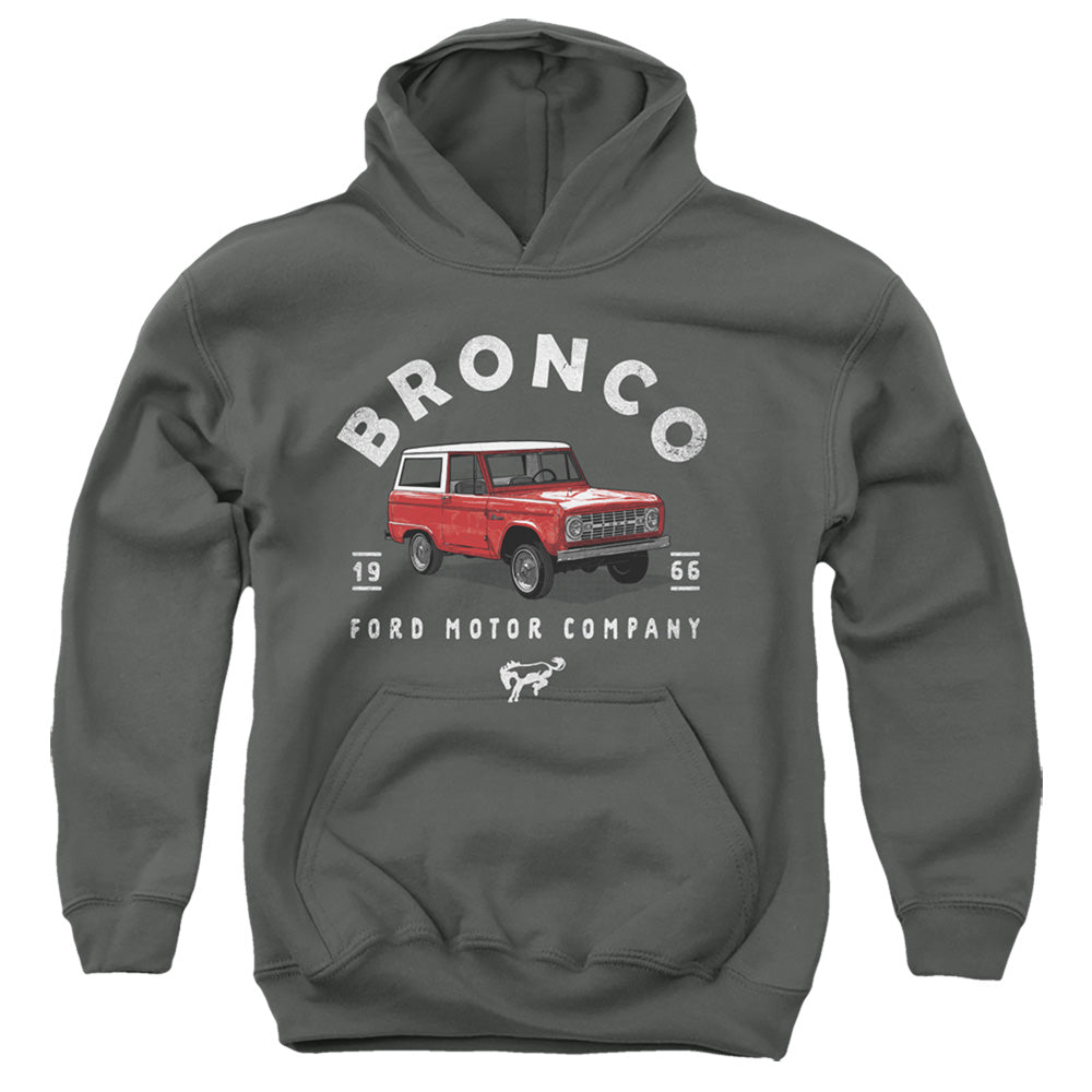 AN OFFCIALLY LICENSED FORD BRONCO BRONCO ILLUSTRATED YOUTH HOODIE CHARCOAL