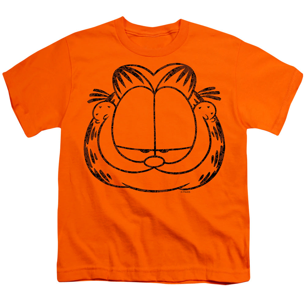 Garfield Smirking Distressed Licensed Kid's T-Shirt (Ages 4-7) MD