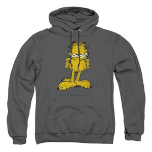 AN OFFCIALLY LICENSED GARFIELD BIG OL CAT ADULT UNISEX PULLOVER HOODIE CHARCOAL