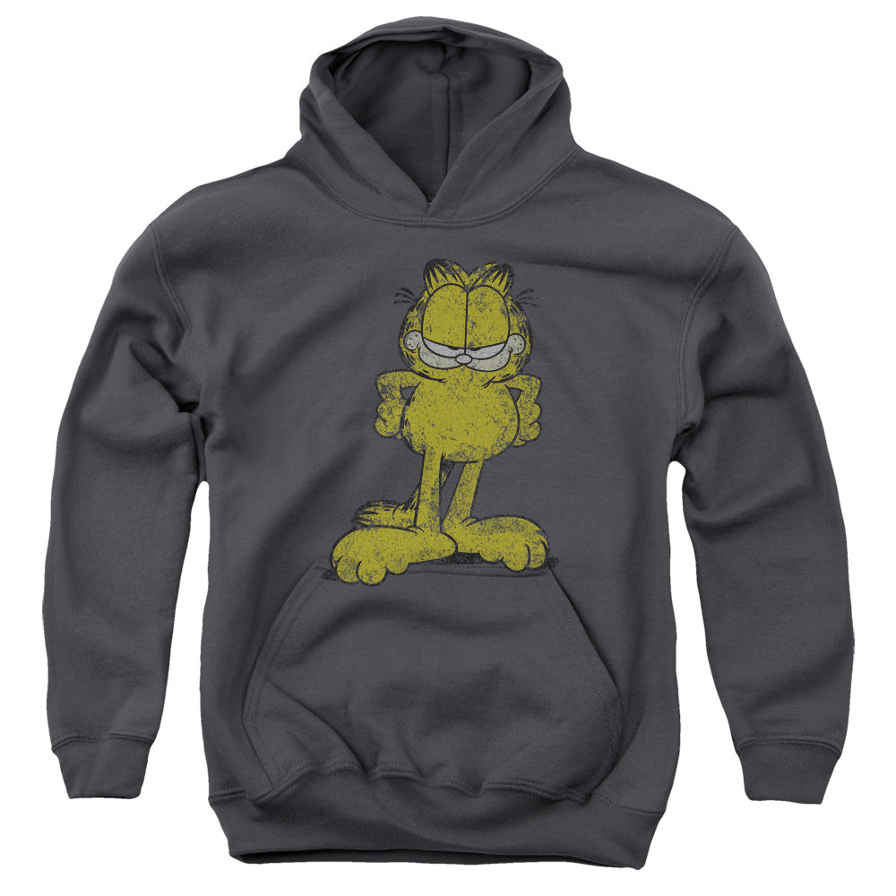 AN OFFCIALLY LICENSED GARFIELD BIG OL CAT YOUTH HOODIE CHARCOAL
