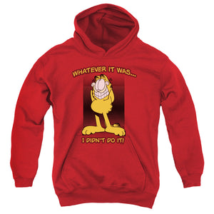 AN OFFCIALLY LICENSED GARFIELD I DIDNT DO IT YOUTH HOODIE RED