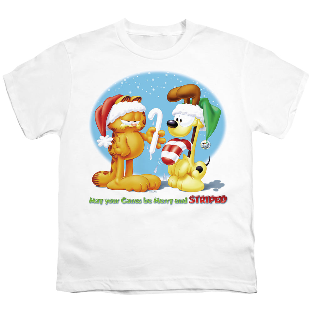 Garfield Merry And Striped Licensed Kid's T-Shirt (Ages 4-7) SM-XL