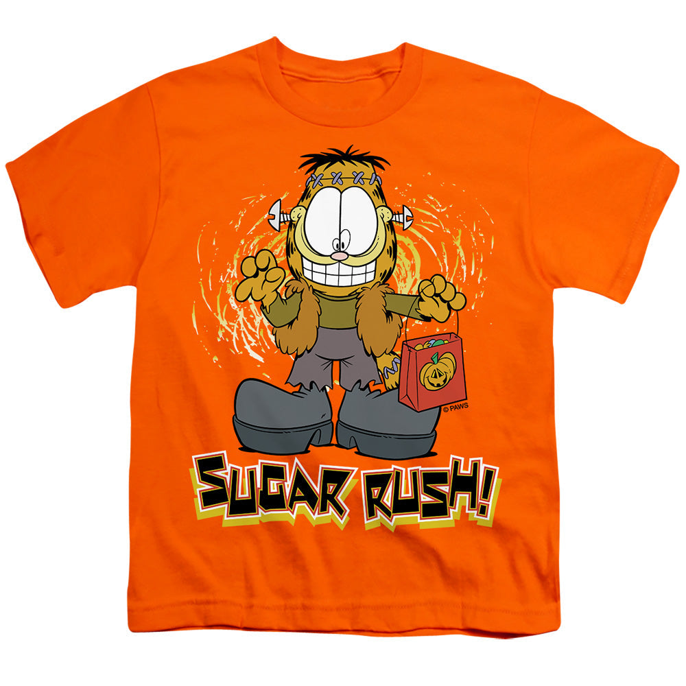 Garfield Sugar Rush Licensed Kid's T-Shirt (Ages 4-7) SM-XL