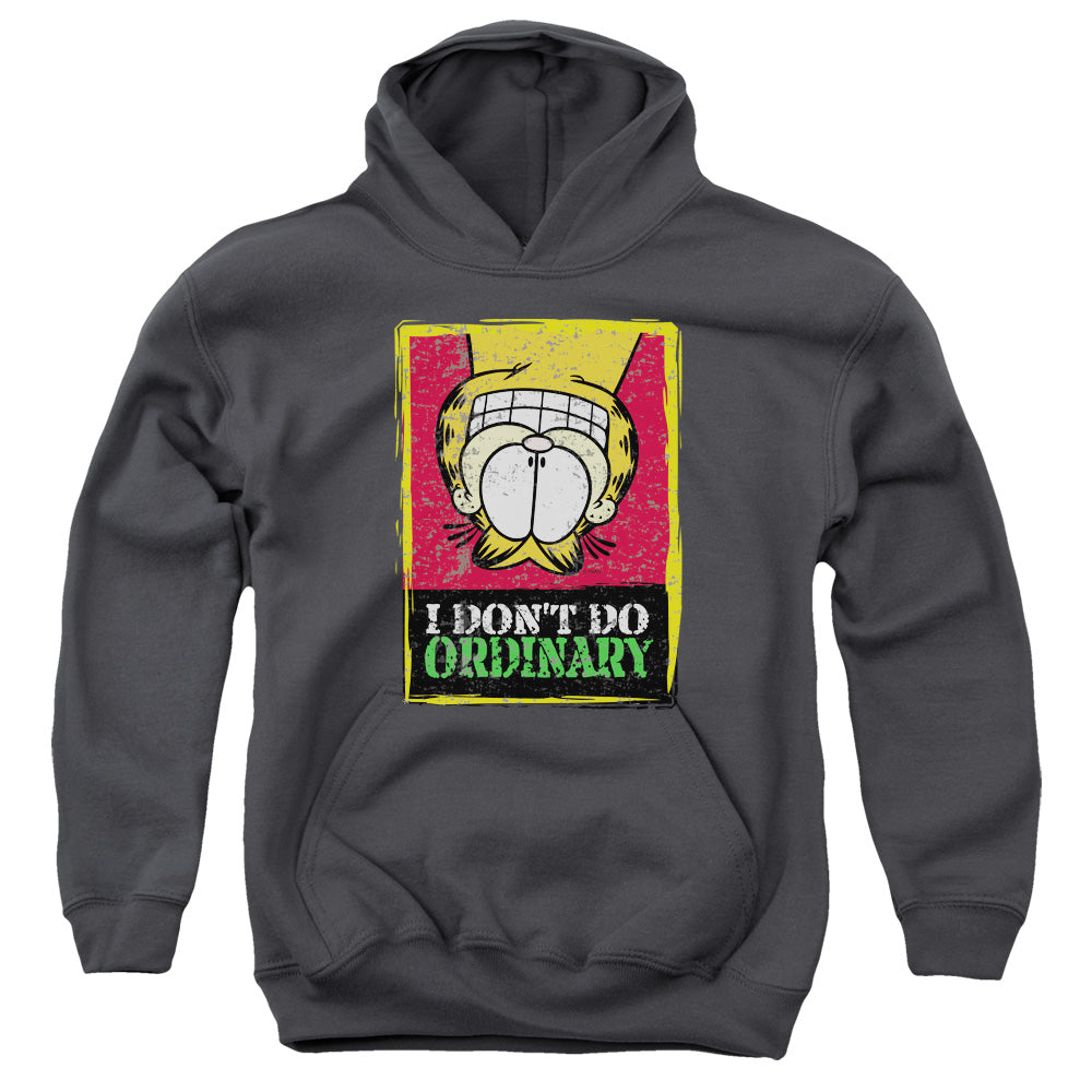 AN OFFCIALLY LICENSED GARFIELD I DONT DO ORDINARY YOUTH HOODIE CHARCOAL