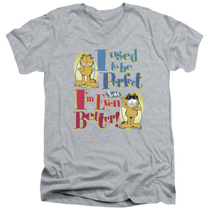 AN OFFCIALLY LICENSED GARFIELD EVEN BETTER MEN'S V-NECK T-SHIRT ATHLETIC HEATHER