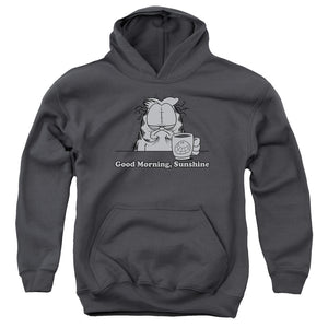 AN OFFCIALLY LICENSED GARFIELD GOOD MORNING SUNSHINE YOUTH HOODIE CHARCOAL