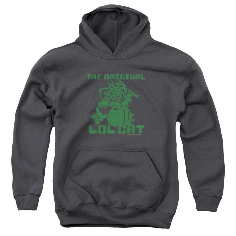 AN OFFCIALLY LICENSED GARFIELD OG LOL YOUTH HOODIE CHARCOAL