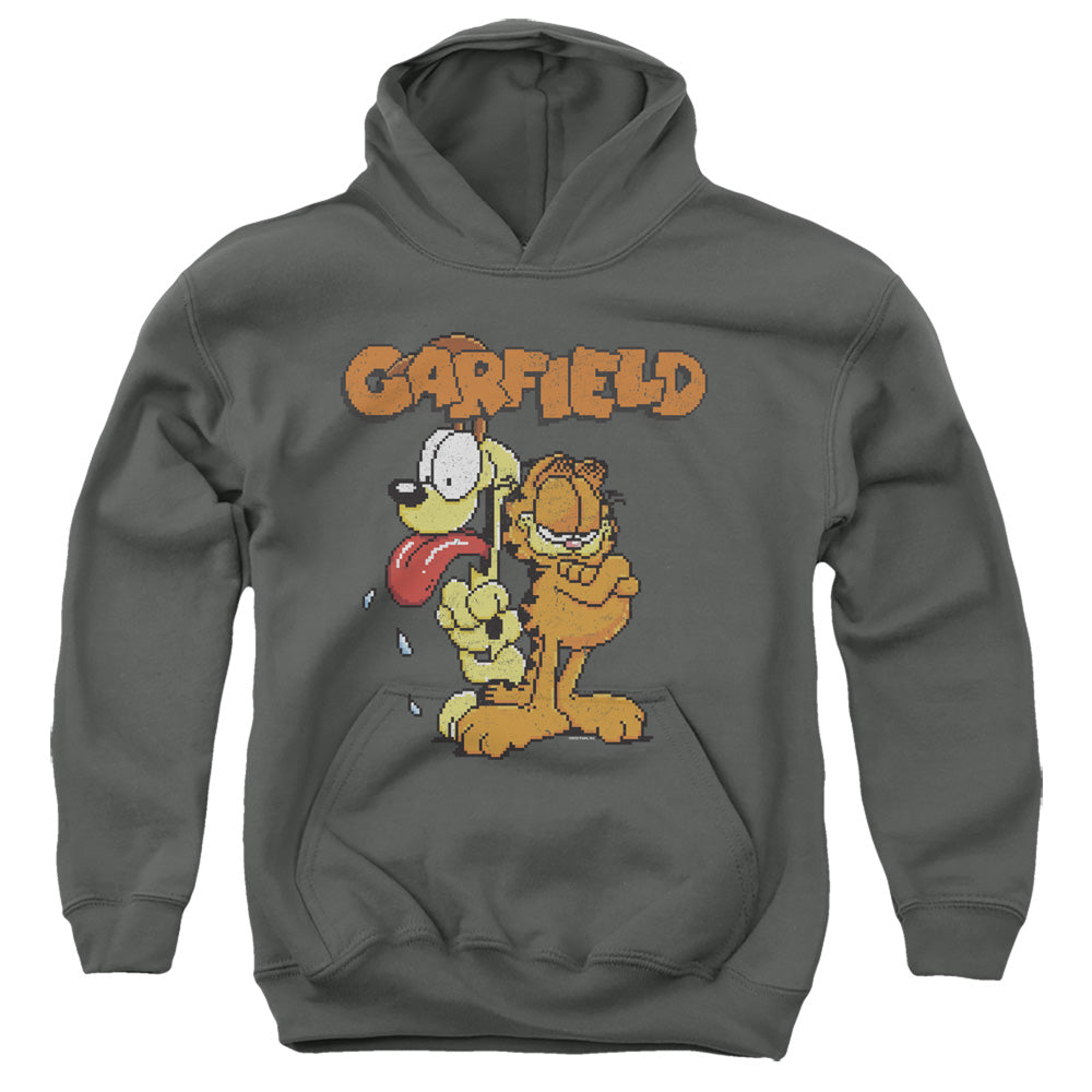 AN OFFCIALLY LICENSED GARFIELD GARFIELD THE GAME YOUTH HOODIE CHARCOAL