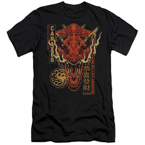 AN OFFCIALLY LICENSED HOUSE OF THE DRAGON TARGARYEN YEAR OF THE DRAGON MEN'S PREMIUM SLIM FIT T-SHIRT BLACK