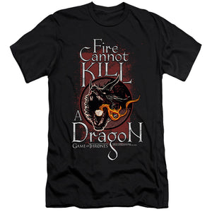AN OFFCIALLY LICENSED GAME OF THRONES FIRE CANNOT KILL A DRAGON MEN'S PREMIUM SLIM FIT T-SHIRT BLACK