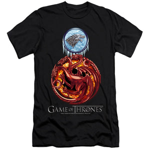 AN OFFCIALLY LICENSED GAME OF THRONES COMBINED TARGARYN AND STARK MEN'S PREMIUM SLIM FIT T-SHIRT BLACK