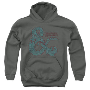 AN OFFCIALLY LICENSED DUNGEONS AND DRAGONS AMPERSAND CLASSES YOUTH HOODIE CHARCOAL