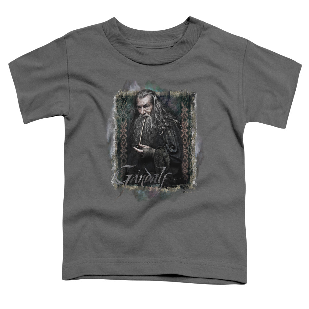 The Hobbit Gandalf Licensed Toddler T-Shirt LG