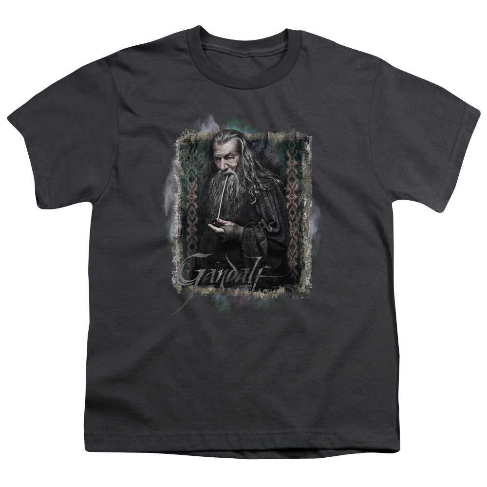 The Hobbit Gandalf Licensed Kid's T-Shirt (Ages 4-7) XS-XL