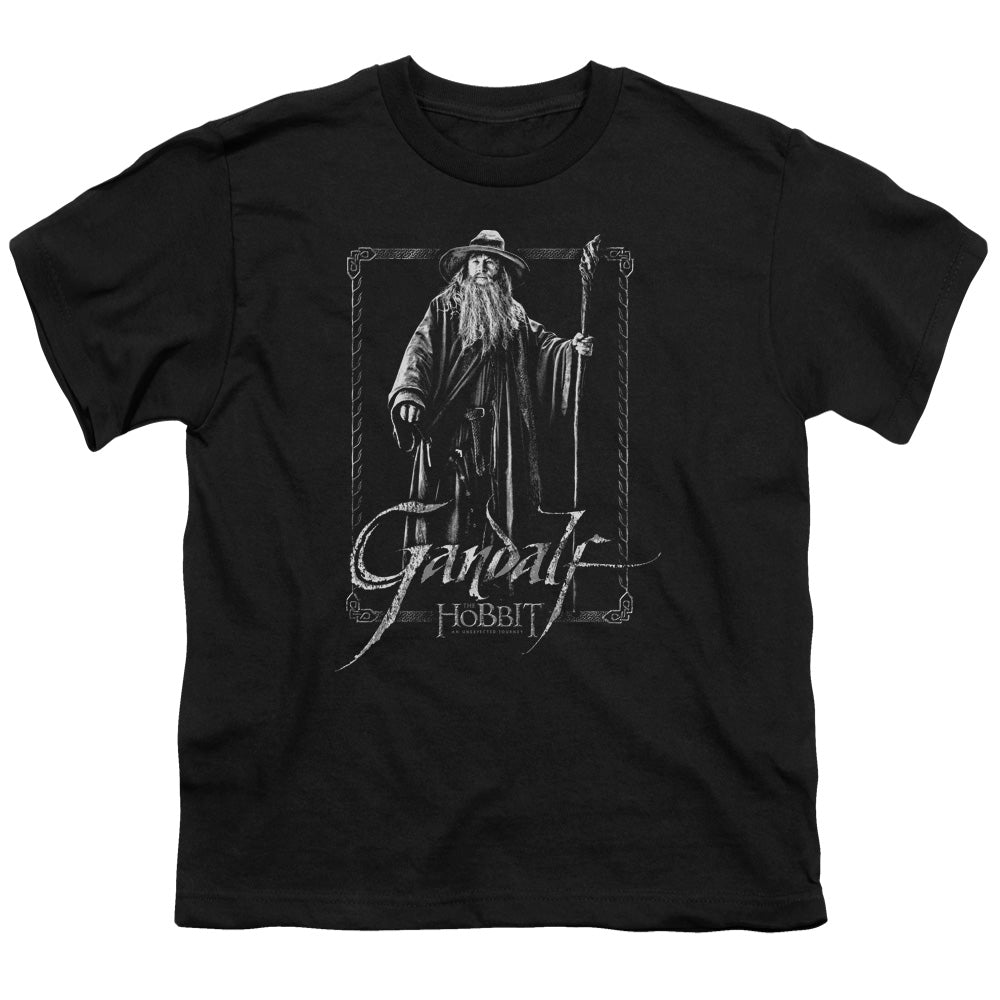 The Hobbit Gandalf Stare Licensed Kid's T-Shirt (Ages 4-7) XS-XL