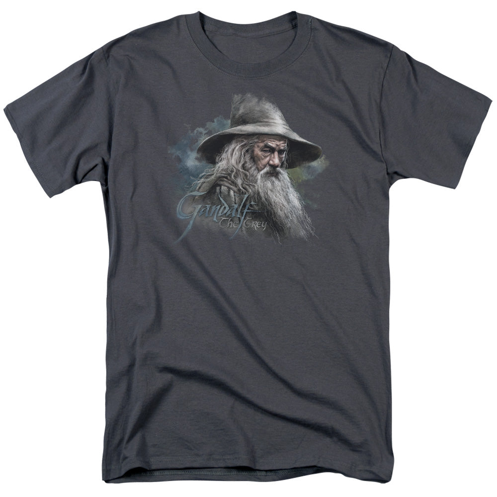 The Hobbit Gandalf The Grey Licensed Adult Unisex T-Shirt Regular Fit Tee SM-3X