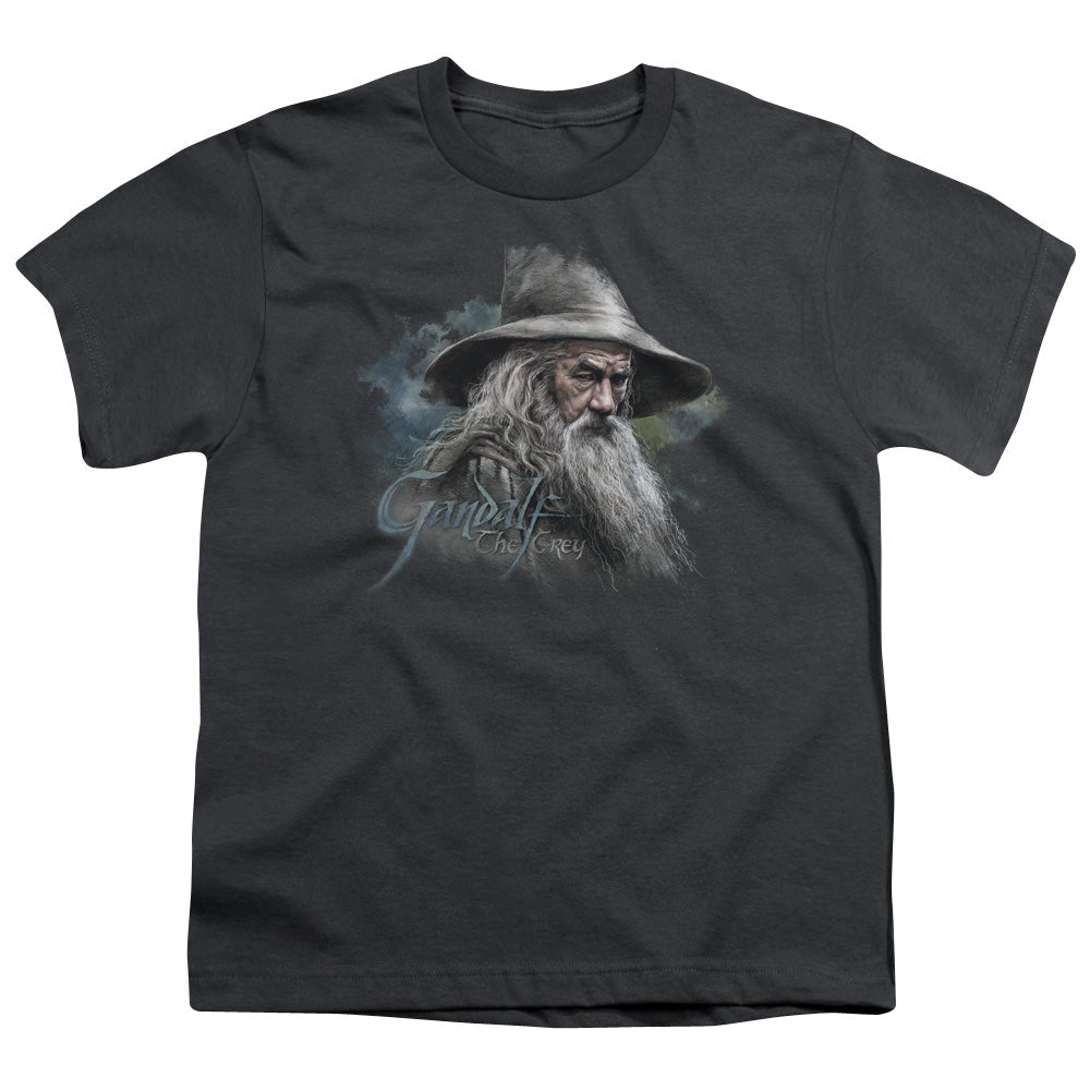 The Hobbit Gandalf The Grey Licensed Kid's T-Shirt (Ages 4-7) XS-XL