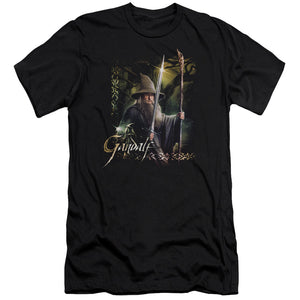 AN OFFCIALLY LICENSED HOBBIT SWORD AND STAFF MEN'S PREMIUM SLIM FIT T-SHIRT BLACK