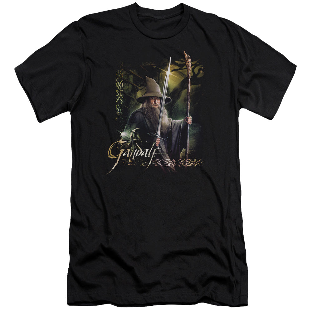 AN OFFCIALLY LICENSED HOBBIT SWORD AND STAFF MEN'S PREMIUM SLIM FIT T-SHIRT BLACK