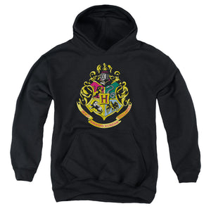 AN OFFCIALLY LICENSED HARRY POTTER HOGWARTS SCHOOL CREST YOUTH HOODIE BLACK