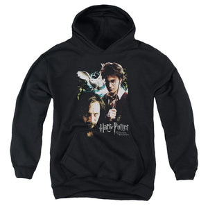 AN OFFCIALLY LICENSED HARRY POTTER HARRY AND SIRIUS YOUTH HOODIE BLACK
