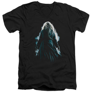 AN OFFCIALLY LICENSED HARRY POTTER DUMBLEDORE BURST MEN'S V-NECK T-SHIRT BLACK