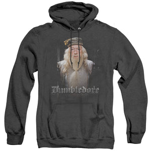 AN OFFCIALLY LICENSED HARRY POTTER DUMBLE DOORS ADULT UNISEX HEATHER PULLOVER HOODIE BLACK