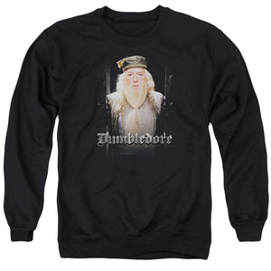 AN OFFCIALLY LICENSED HARRY POTTER DUMBLE DOORS ADULT UNISEX CREWNECK SWEATSHIRT BLACK