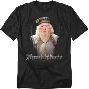 AN OFFCIALLY LICENSED HARRY POTTER DUMBLE DOORS MEN'S REGULAR FIT T-SHIRT BLACK