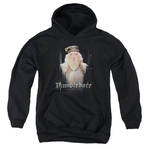 AN OFFCIALLY LICENSED HARRY POTTER DUMBLE DOORS YOUTH HOODIE BLACK
