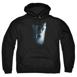 AN OFFCIALLY LICENSED HARRY POTTER DUMBLEDORE FACE ADULT UNISEX PULLOVER HOODIE BLACK