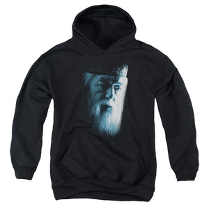 AN OFFCIALLY LICENSED HARRY POTTER DUMBLEDORE FACE YOUTH HOODIE BLACK