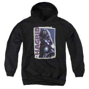 AN OFFCIALLY LICENSED HARRY POTTER RUBEUS HAGRID PHOTO COLLAGE YOUTH HOODIE BLACK