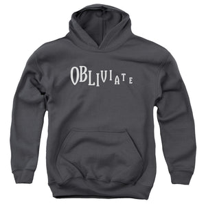 AN OFFCIALLY LICENSED HARRY POTTER OBLIVIATE YOUTH HOODIE CHARCOAL
