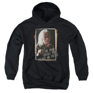 AN OFFCIALLY LICENSED HARRY POTTER OLIVANDER YOUTH HOODIE BLACK