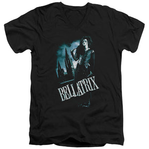 AN OFFCIALLY LICENSED HARRY POTTER BELLATRIX FULL BODY MEN'S V-NECK T-SHIRT BLACK
