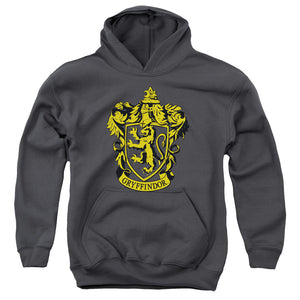 AN OFFCIALLY LICENSED HARRY POTTER GRYFFINDOR CREST YOUTH HOODIE CHARCOAL