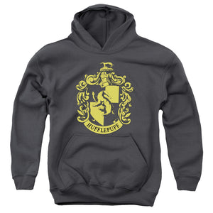 AN OFFCIALLY LICENSED HARRY POTTER HUFFLEPUFF CREST YOUTH HOODIE CHARCOAL