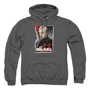 AN OFFCIALLY LICENSED HARRY POTTER DRACO FRAME ADULT UNISEX PULLOVER HOODIE CHARCOAL