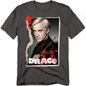 AN OFFCIALLY LICENSED HARRY POTTER DRACO FRAME MEN'S REGULAR FIT T-SHIRT CHARCOAL