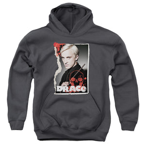 AN OFFCIALLY LICENSED HARRY POTTER DRACO FRAME YOUTH HOODIE CHARCOAL