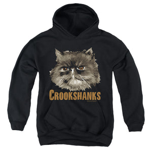 AN OFFCIALLY LICENSED HARRY POTTER CROOKSHANKS YOUTH HOODIE BLACK