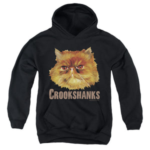 AN OFFCIALLY LICENSED HARRY POTTER CROOKSHANKS COLOR YOUTH HOODIE BLACK