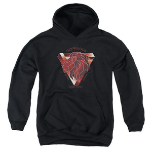 AN OFFCIALLY LICENSED HARRY POTTER GRYFFINDOR BRAVERY COURAGE DETERMINATION YOUTH HOODIE BLACK
